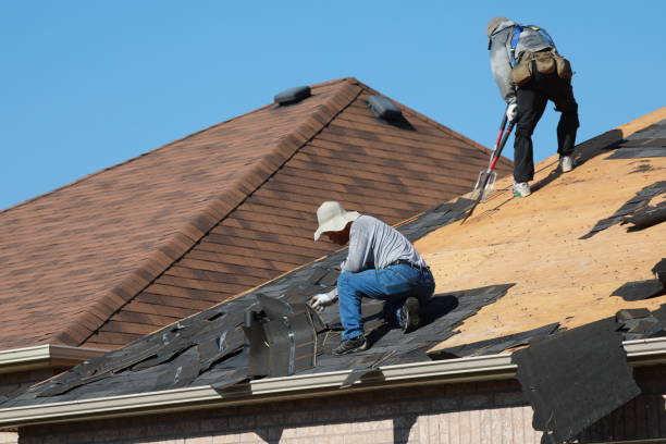 Best Roof Moss and Algae Removal  in Cordaville, MA
